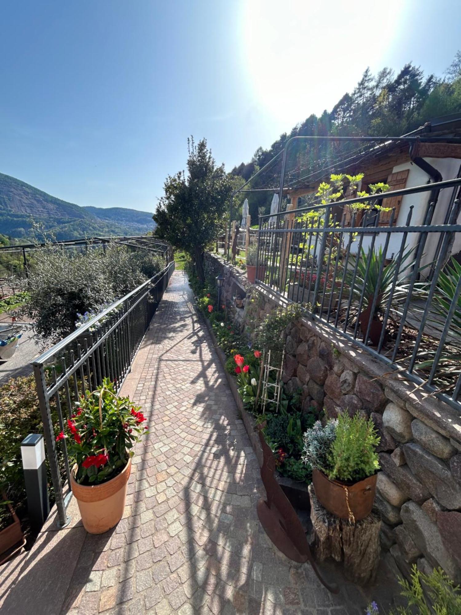 Agriturismo Valfraja Cembra Lisignago Exterior foto